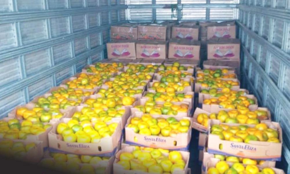 Banco de Alimentos de Itapecerica da Serra recebe doação da CEAGESP