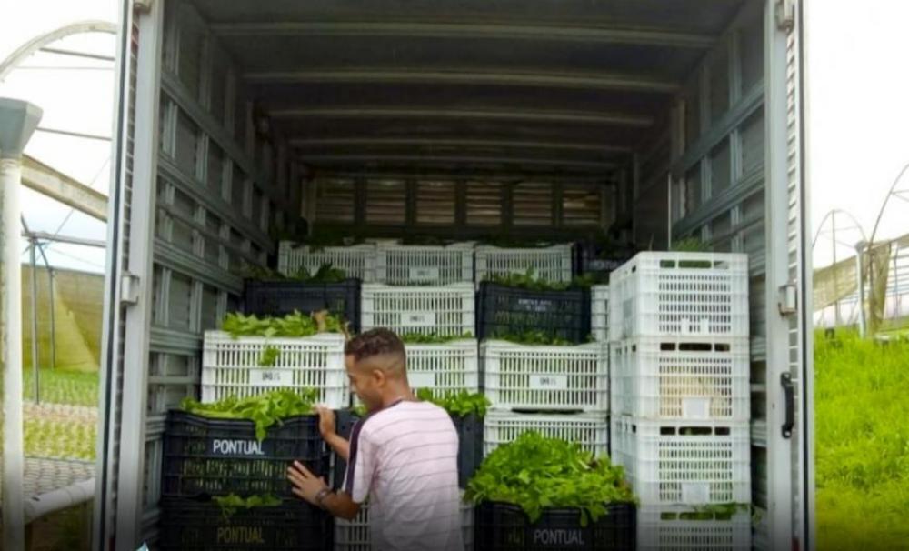 Banco de Alimentos de Itapecerica da Serra recebe doações