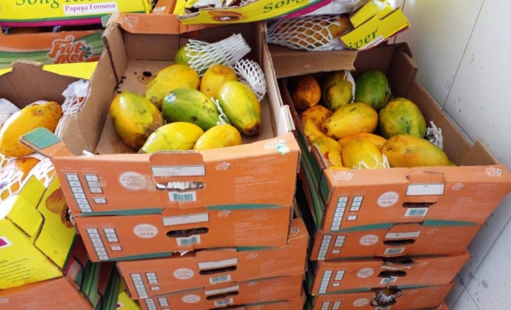 Banco de Alimentos de Itapecerica da Serra recebe doação de frutas da CEAGESP