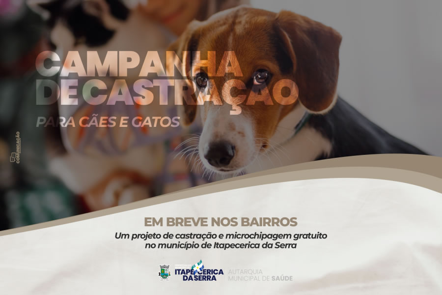 Projeto de castração e microchipagem gratuito em Itapecerica da Serra; confira!