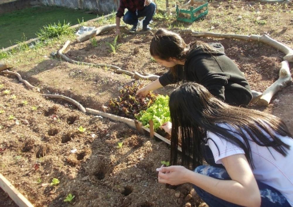 Educação Ambiental de Itapecerica da Serra leva “Projeto Horta nas Escolas” à E.E. Jd. Montesano