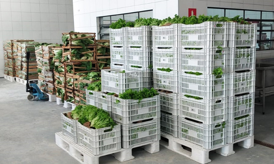 Banco de Alimentos de Itapecerica da Serra recebe primeira remessa do “Programa Cesta Verde” 