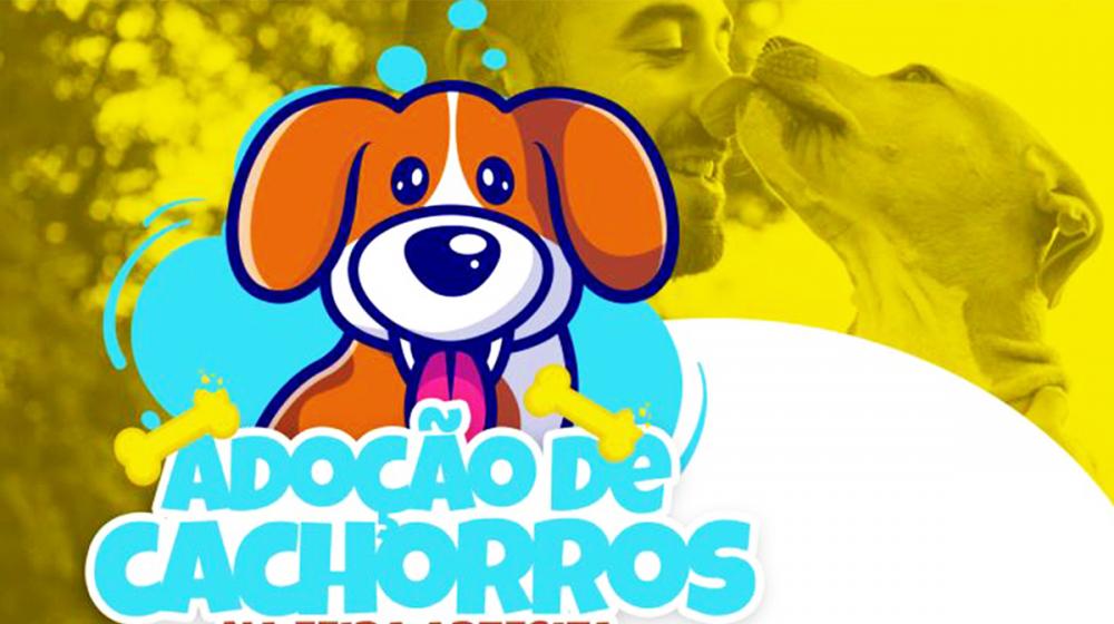 Itapecerica da Serra realiza Feira de Adoção de Cães na próxima segunda-feira, 15; confira!