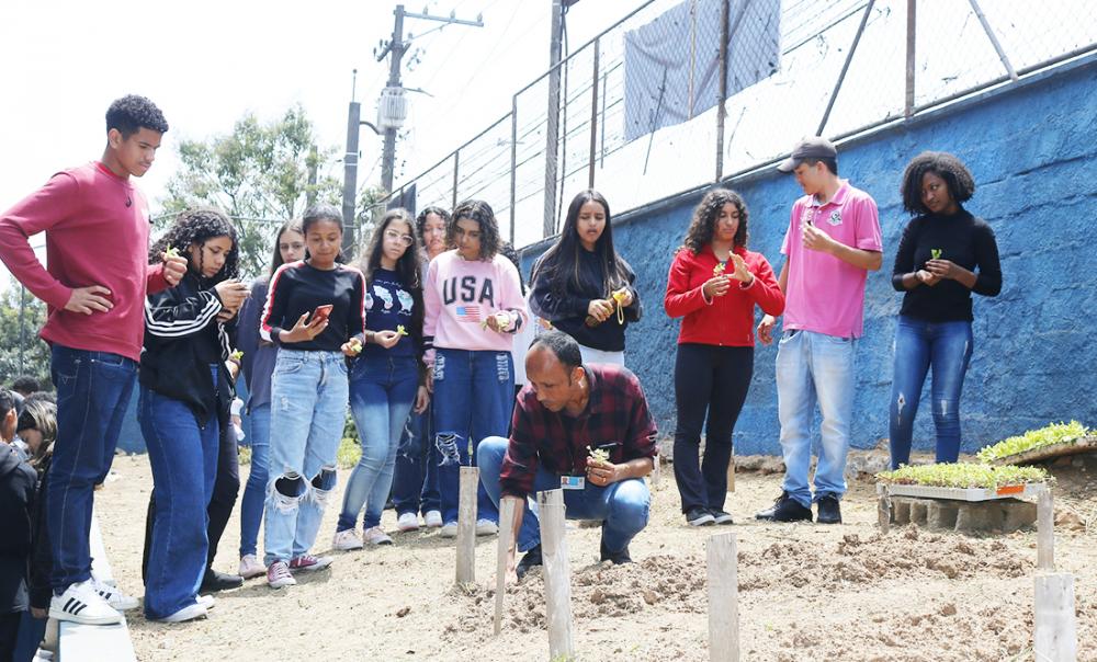 Itapecerica da Serra: Projeto “Horta nas Escolas” chega a E.E. Gertrudes Eder 