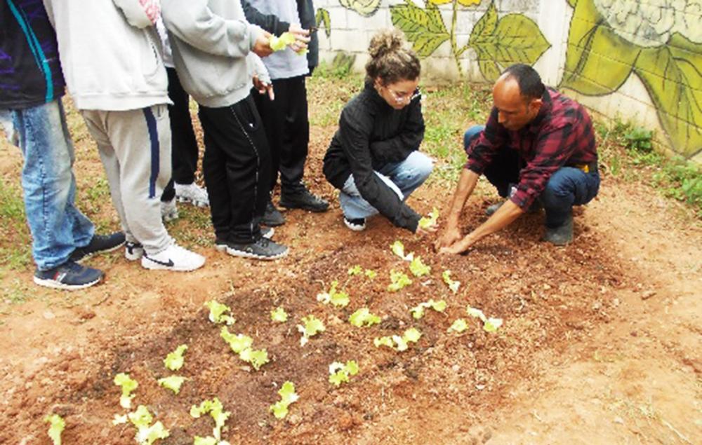 Itapecerica da Serra: Projeto Horta nas Escolas é realizado na Escola Estadual Asa Branca da Serra