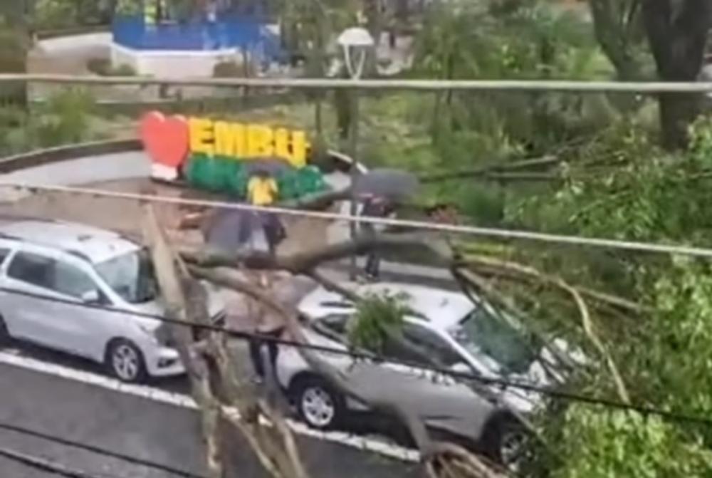 Embu das Artes: árvore cai em carros em pleno centro da cidade 