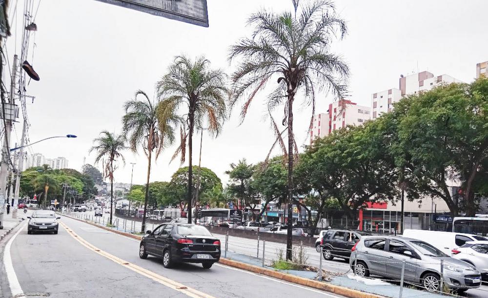 Taboão da Serra: Previsão do tempo para sexta-feira, 24 de fevereiro - Foto: Jornal SP Repórter News