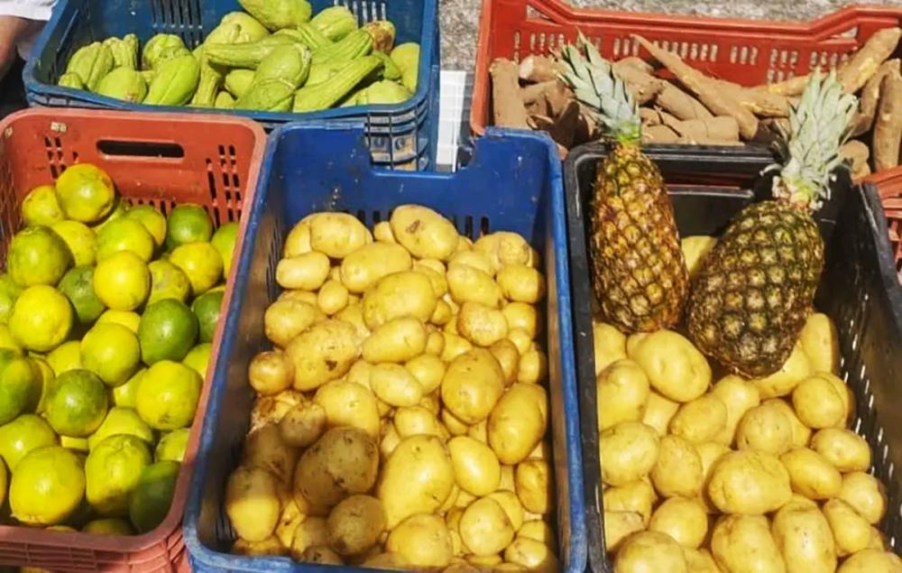 Itapecerica da Serra: CEAGESP doa quase 8 toneladas de produtos ao Banco de Alimentos 
