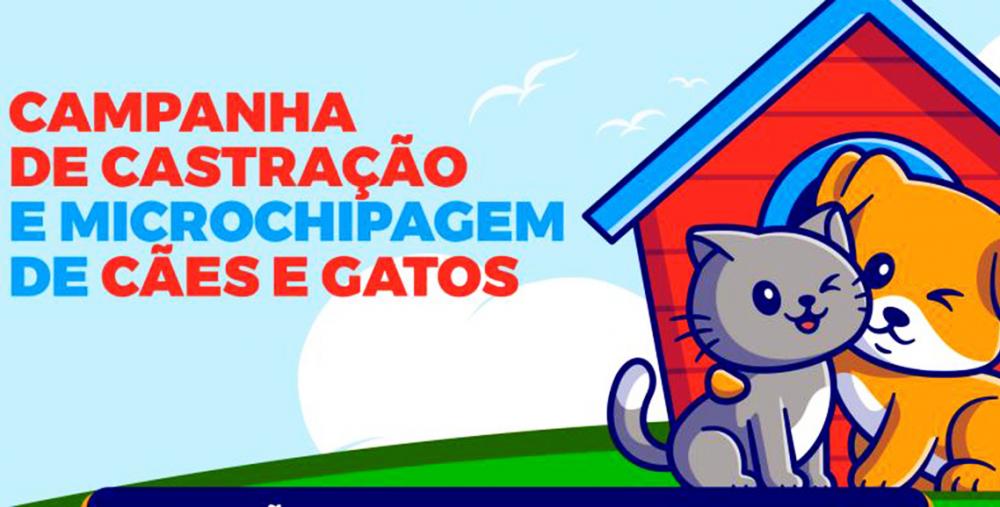 CCZ de Itapecerica da Serra iniciará novas inscrições para castração de cães e gatos; saiba mais