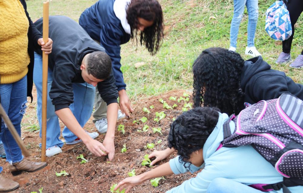 Itapecerica da Serra: Escola Estadual Natércia Cremm recebe Projeto Horta nas Escolas