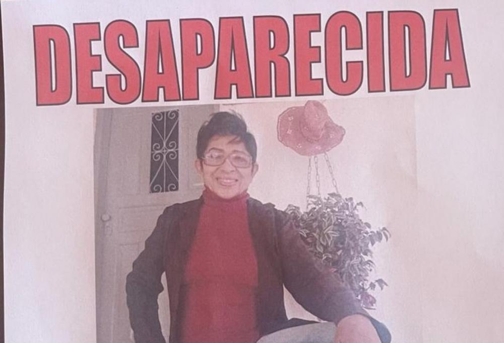 Família de Embu-Guaçu procura idosa que desapareceu em Taboão da Serra desde o dia 22 de junho