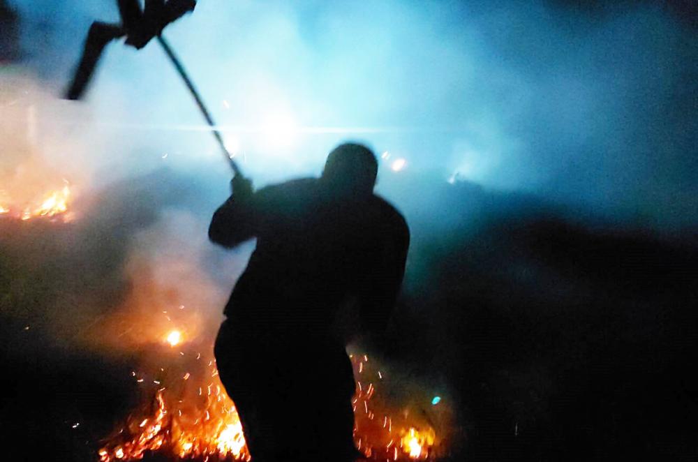 Incêndio na mata em Itapecerica da Serra teve ação rápida e eficiente da Defesa Civil 