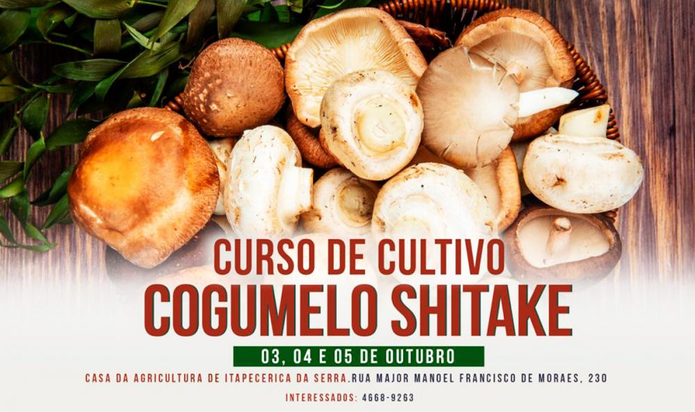 Curso de cultivo de cogumelo Shitake em Itapecerica da Serra; Saiba mais