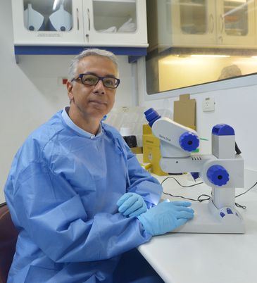 Cientistas dos institutos Oswaldo Cruz e Pasteur, na França, alertam para risco de chikungunya em áreas de mata
