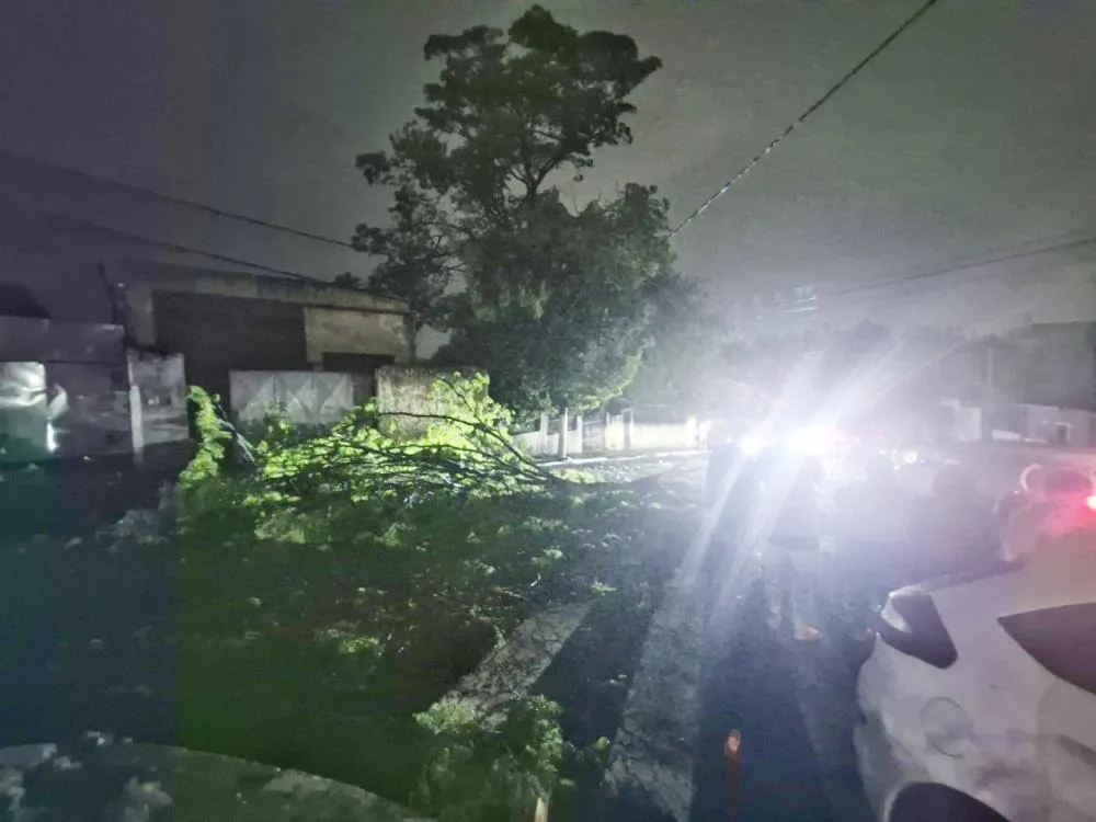 Arraial Paulista, na região da Vila Iasi, foi um dos locais que mais sofreram em Taboão da Serra. Fotos: Jornal SP Repórter