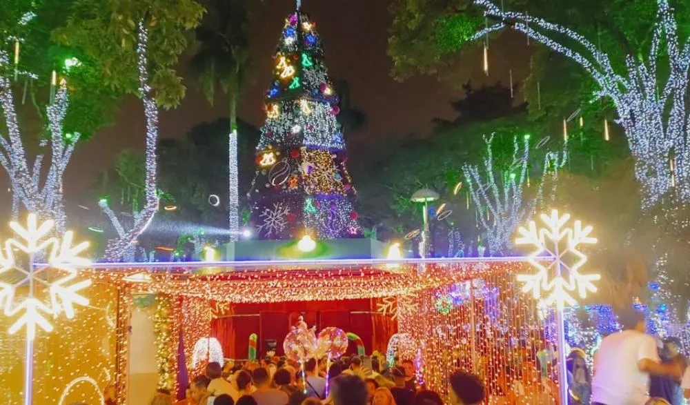 Natal Iluminado de Embu das Artes: Pagode no Halley; DJ CR e Alisson Marques se apresentam neste domingo