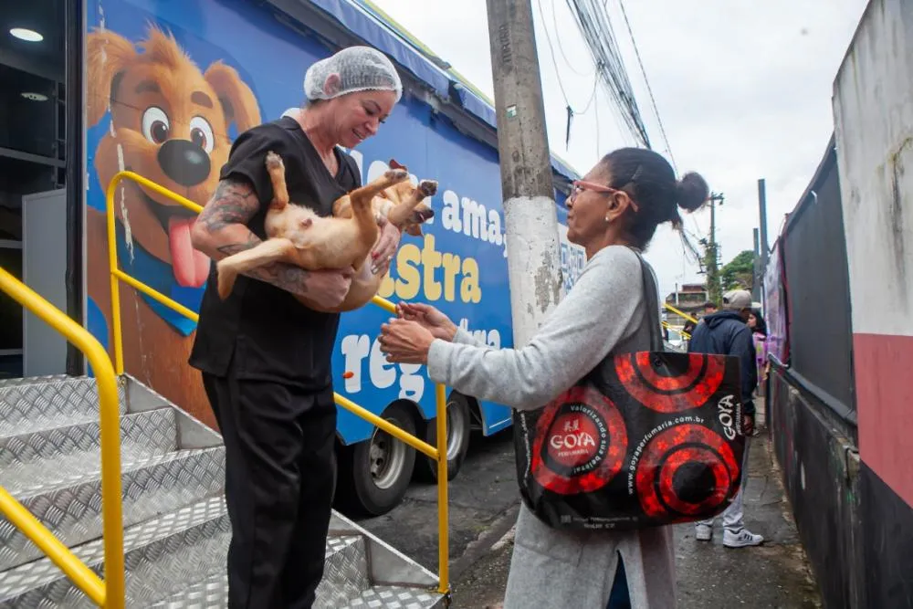 Mutirão em Taboão da Serra castra mais de 300 animais no Parque São Joaquim