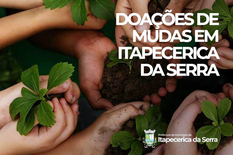 Itapecerica da Serra: Prefeitura disponibiliza doação de mudas em troca de material reciclável