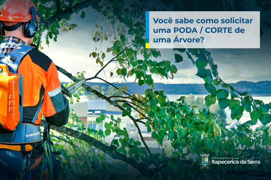 Itapecerica da Serra: Você sabe como solicitar a poda ou corte de uma árvore?