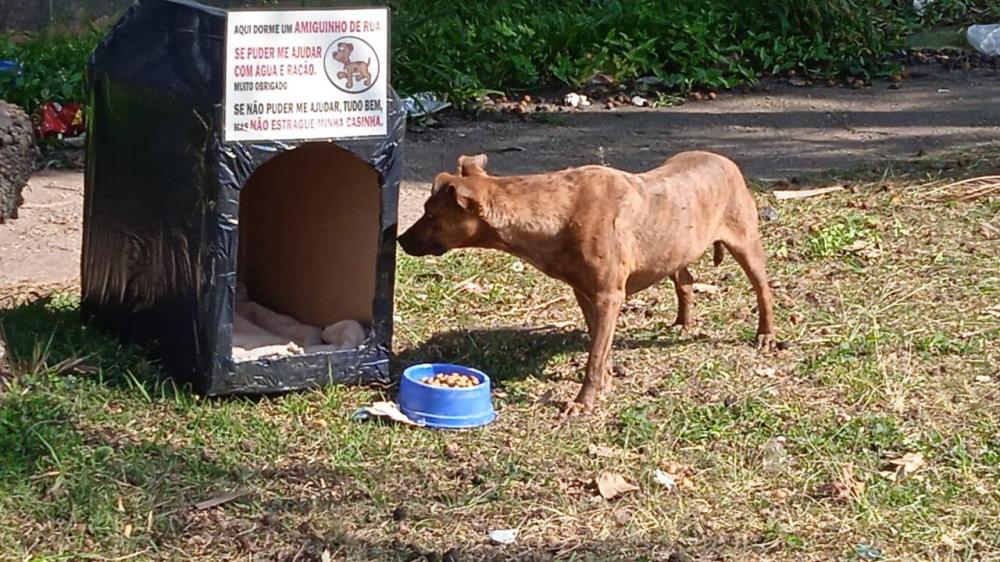 Meus parabéns à PATRE pelos abrigos aos cães e gatos em Taboão da Serra e região