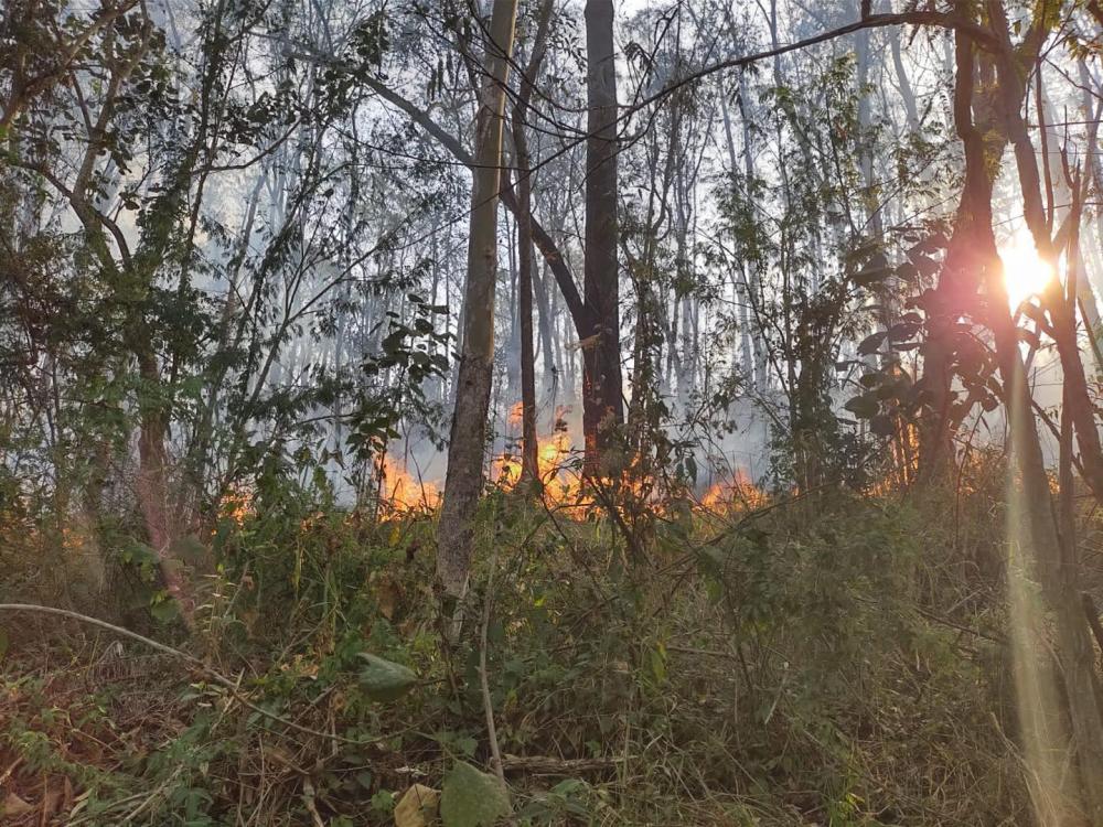Veja fotos do incêndio de grande proporção em Itapecerica da Serra