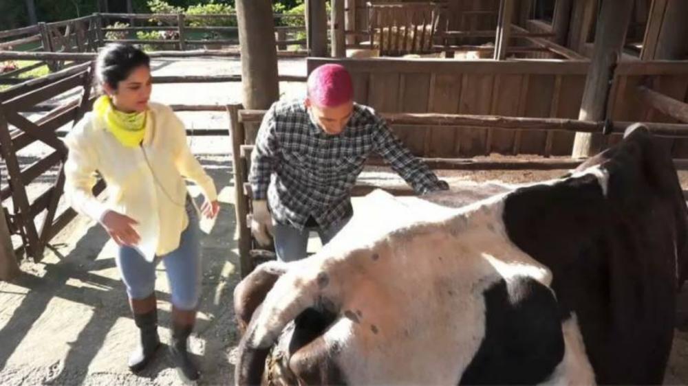 Você sabia que A Fazenda é em Itapecerica da Serra?