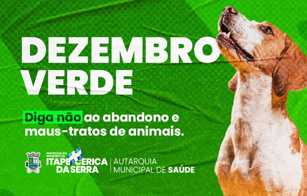 Itapecerica da Serra: dezembro é mês de conscientização sobre maus-tratos de animais